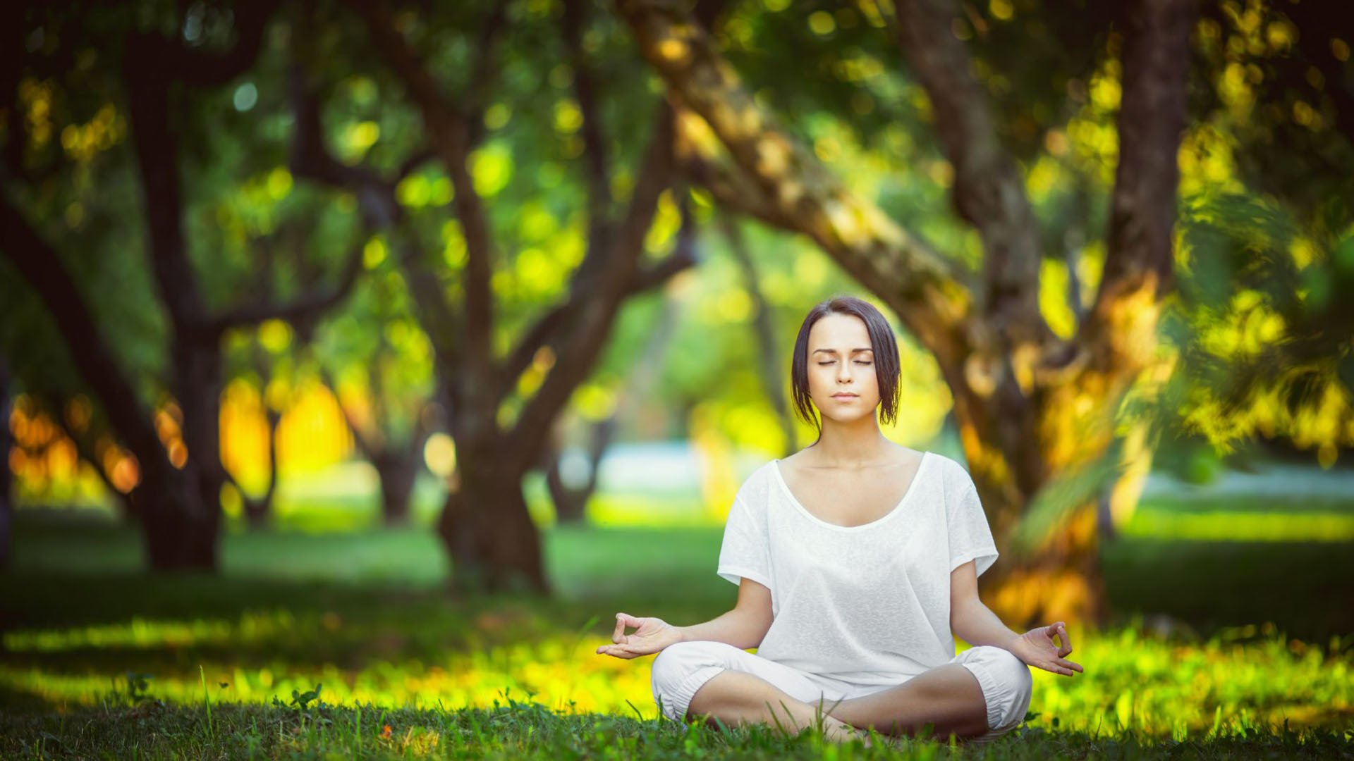 FIFA足球世界官方下载-绿茵与网坛，一场荒诞的跨界奇遇